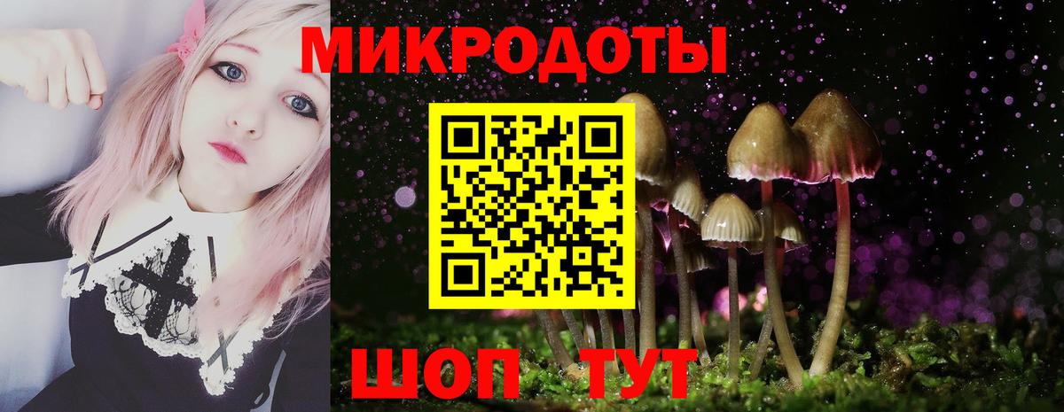 Псилоцибиновые грибы Cubensis  Вход с VPN  Псилоцибиновые грибы Magic Shrooms  Арзамас 