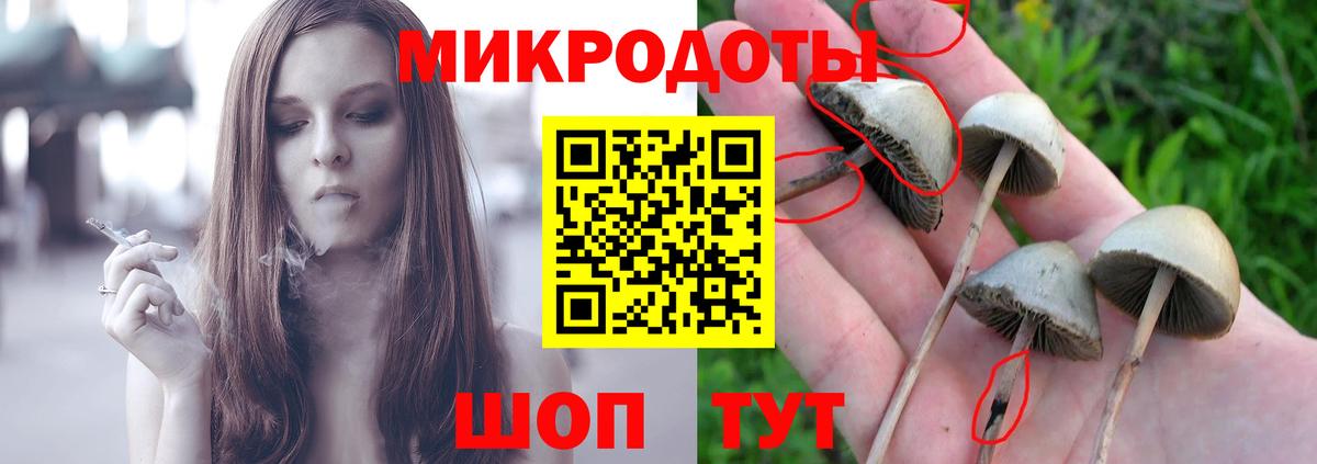 Псилоцибиновые грибы Cubensis Арзамас